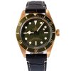 Tudor Black Bay 79018V 2025